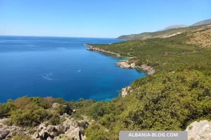 Aquarium Beach from above
